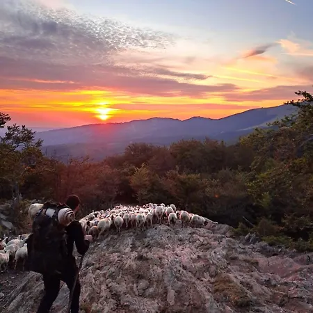 Hostel Fanesia Coliving