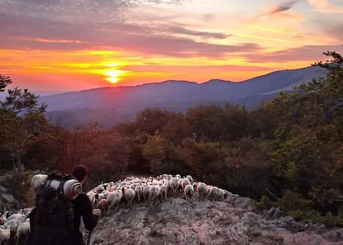 Хостел Fanesia Coliving