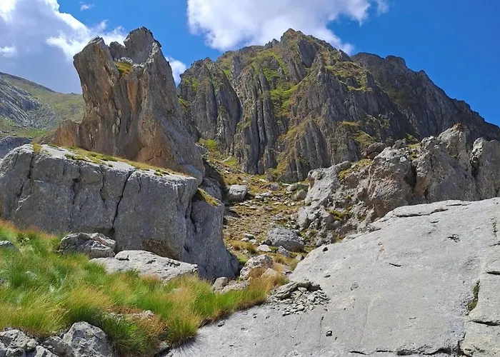 Хостел Fanesia Coliving *